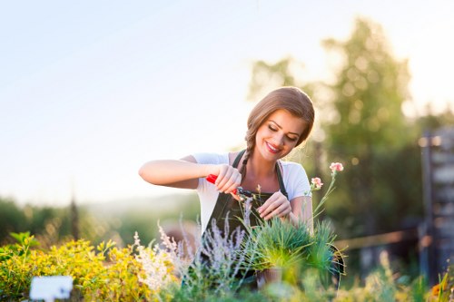 Professionals trimming hedges in a well-maintained garden
