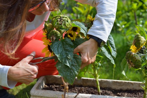 Workers wearing PPE and using tools safely on a garden maintenance job